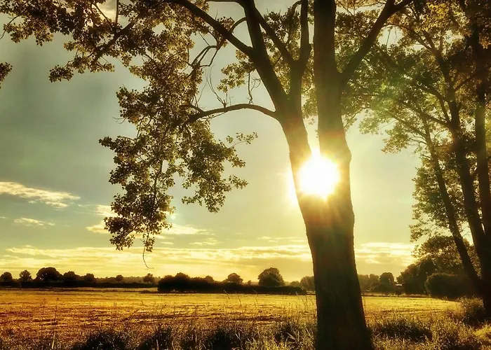 Duvensee Auszeit Am Moor 아파트 사진