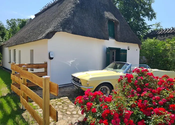 Das Reethaus - Midgard Tolk foto