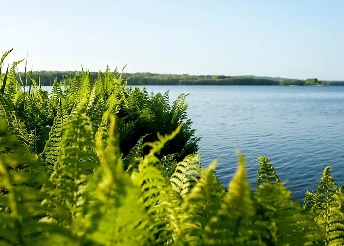 Hotel Katerberg Ahlefeldの写真