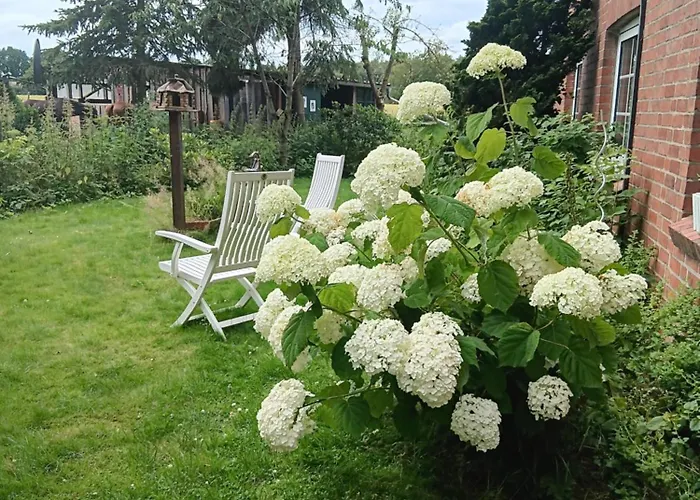 Sonnenscheinhof Alpakas, Ferienwohnung Lasbek foto