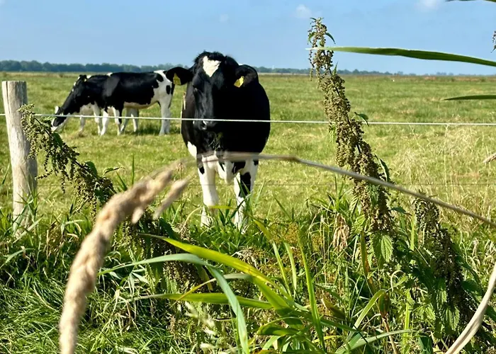 Ferienwohnung Landleeven No11 Meggerdorf Foto