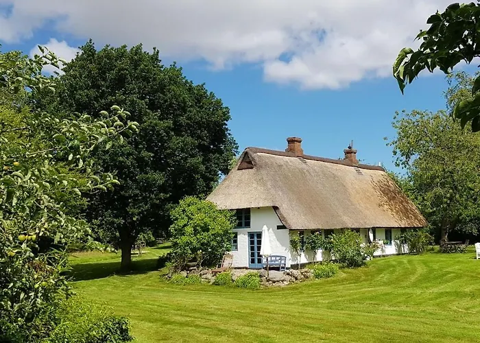 Thatched Cottage In The Meadow Gulde zdjęcie