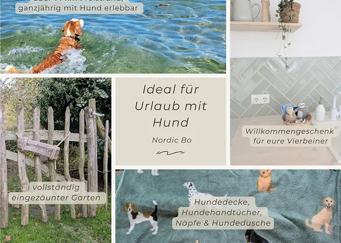 Photo de Nordic Bo- Strandnahe, Gemuetliche Ferienhaushaelfte In Schwedeneck, Hunde Herzlich Willkommen Surendorf