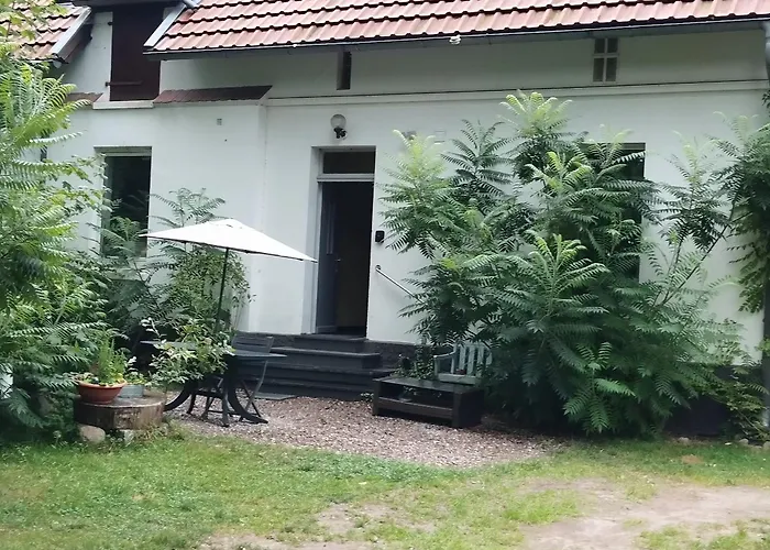 Wohnung Am Wald Witzeeze foto